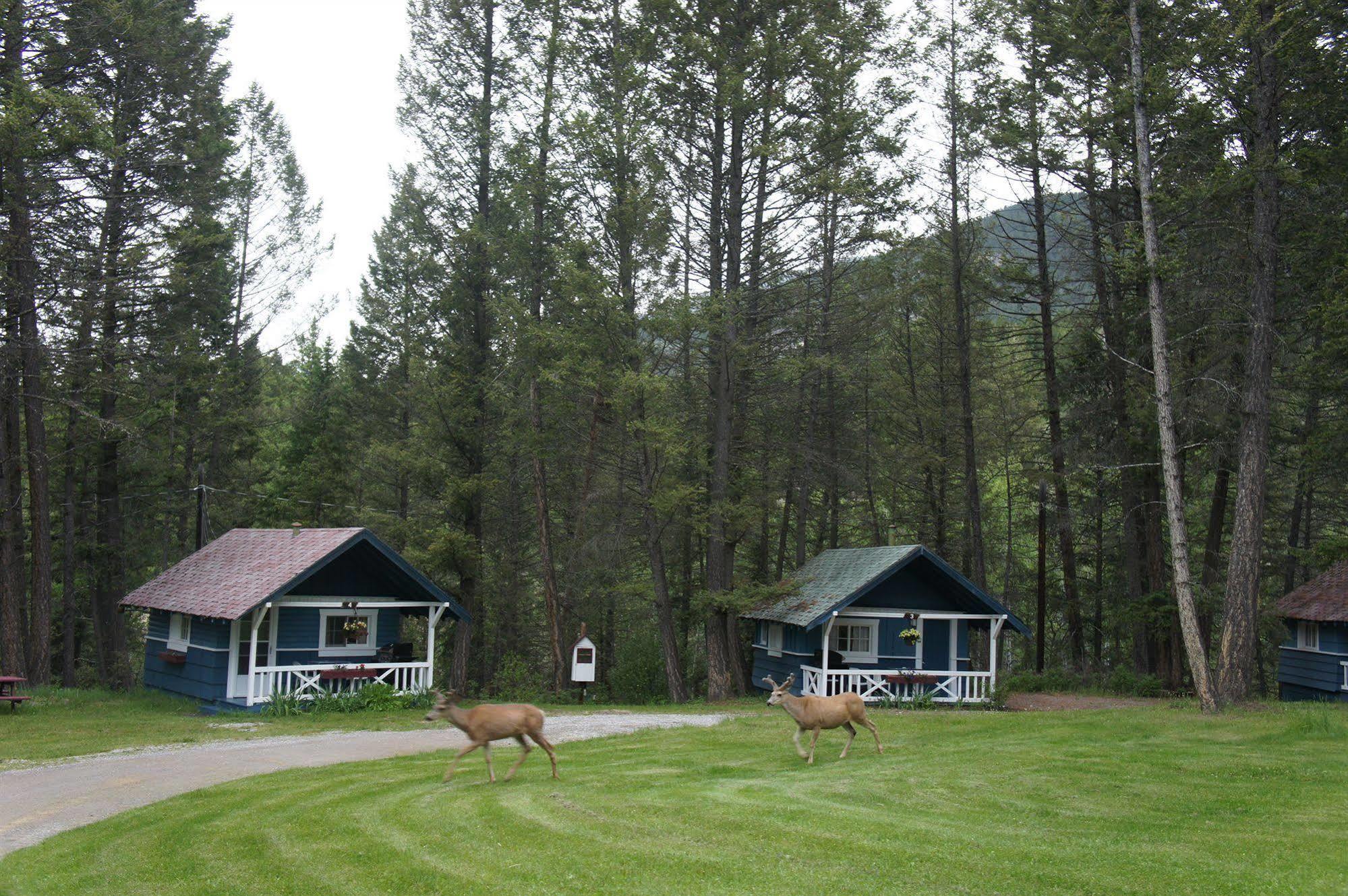 Fairmont Mountain Bungalows Fairmont Hot Springs Kültér fotó
